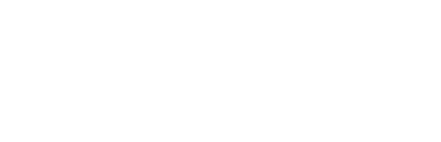 Fast Complex Logo